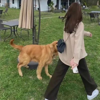 偷渡者